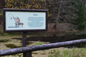 GOZDNA UČNA POT TROMEJNIK 4